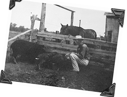 Pawpaw with hogs_photo corners.jpg?13305